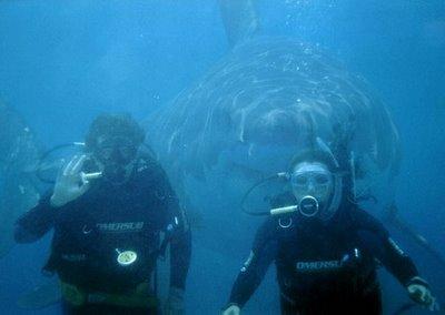 Fish - 168funny3.jpg